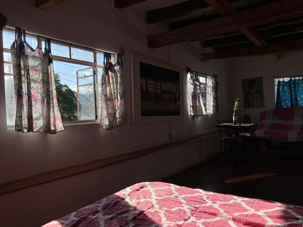 גואנאחואטו Hostalito Casa Alebrije מראה חיצוני תמונה
