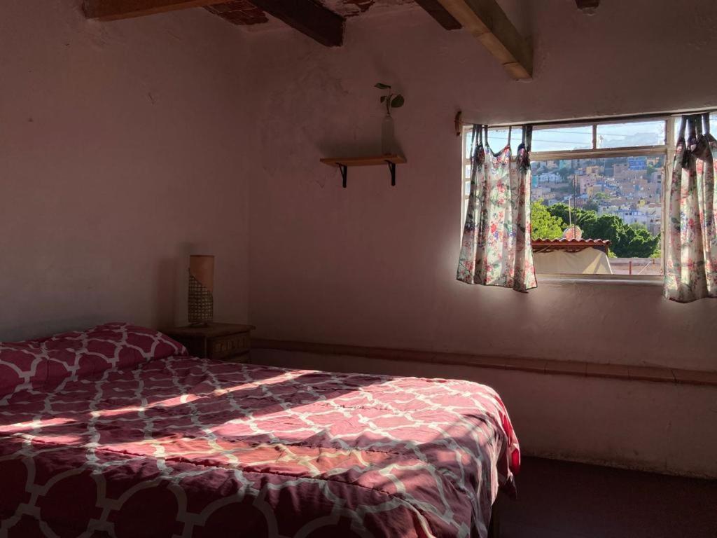 גואנאחואטו Hostalito Casa Alebrije מראה חיצוני תמונה